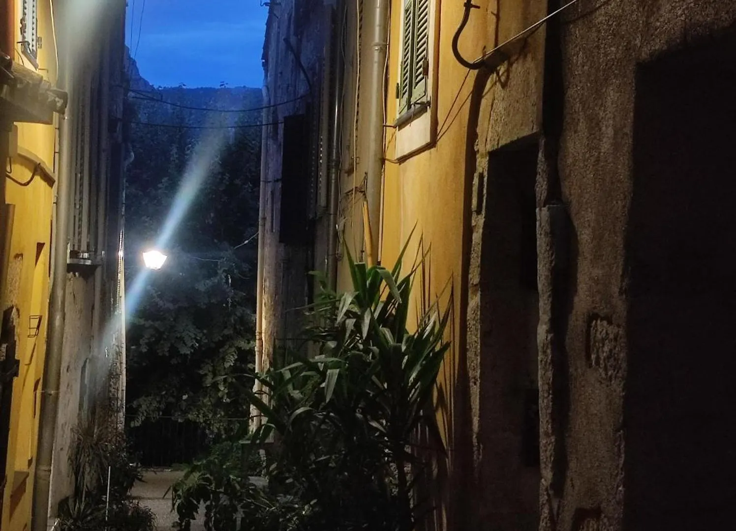 Aloha Apartment Vence
